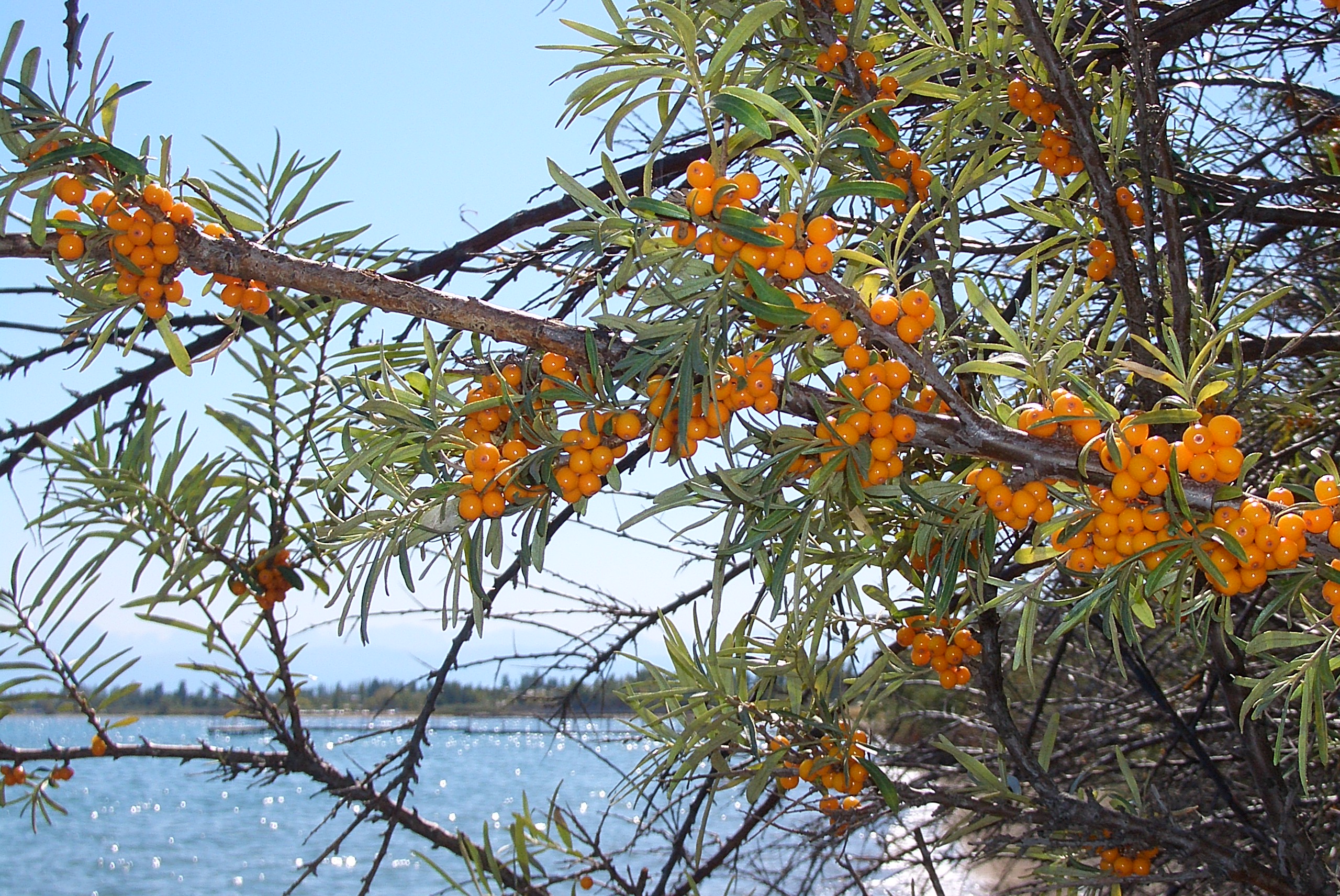 Damery Paysages cr&eacute;e des jardins chaleureux pour profiter du soleil proven&ccedil;al