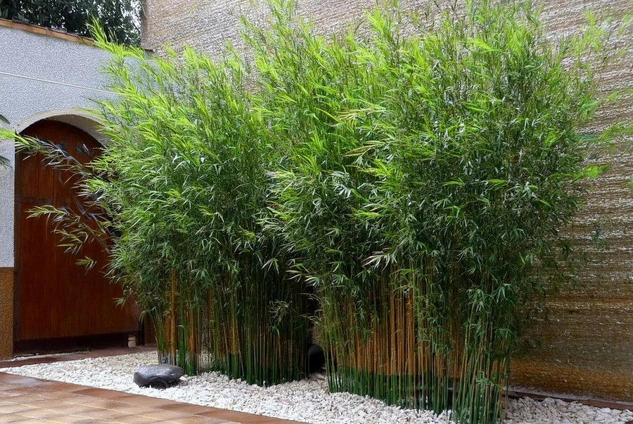 Damery Paysages am&eacute;nage des jardins o&ugrave; il fait bon vivre toute l&rsquo;ann&eacute;e