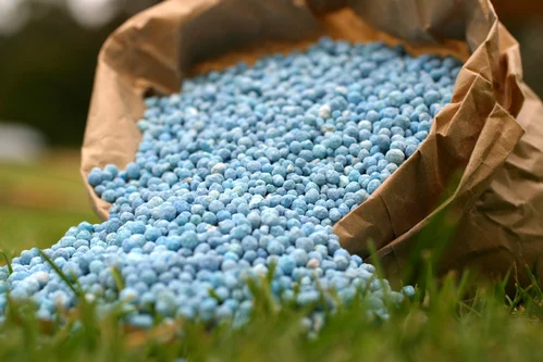 Damery Paysages accompagne la cr&eacute;ation d&rsquo;ambiances ext&eacute;rieures avec des produits adapt&eacute;s