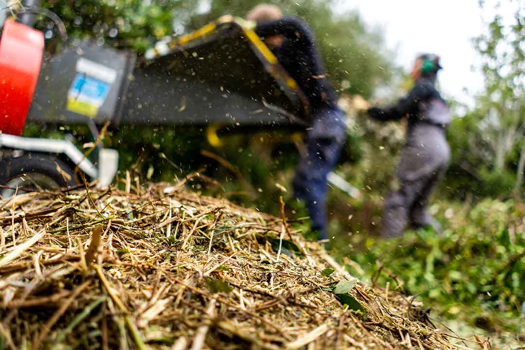 Damery Paysages d&eacute;veloppe des projets paysagers pour gagner en confort ext&eacute;rieur