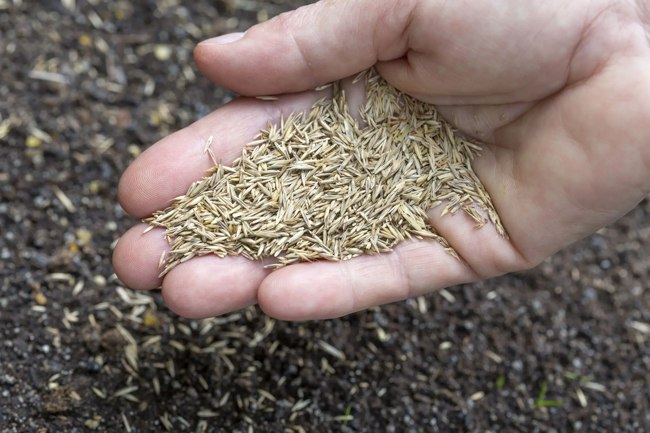 Damery Paysages compl&egrave;te ses prestations paysag&egrave;res avec une gamme d&rsquo;articles jardin